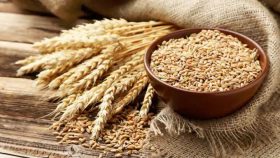 نرخ هر کیلو گندم برای سال زراعی آینده ۱۹.۵۰۰ تومان تعیین شد